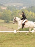 DSC05750 DSC05750