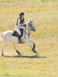 DSC06660 DSC06660