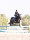 DSC03349 DSC03349