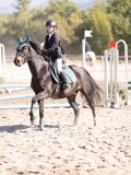 DSC03354 DSC03354