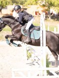 DSC03355 DSC03355