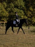 DSC05446 DSC05446