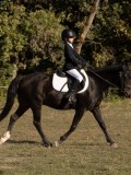 DSC05450 DSC05450