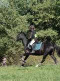 DSC_5954 DSC_5954