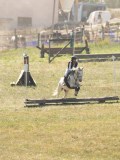 DSC06353 DSC06353