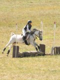DSC06355 DSC06355