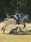 DSC06359 DSC06359