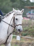 DSC_4974 DSC_4974