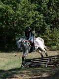DSC_5678 DSC_5678