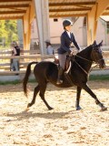 DSC08259 DSC08259