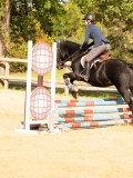 DSC08265 DSC08265