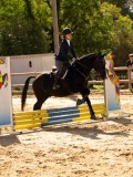 DSC08267 DSC08267