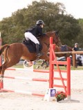 DSC09734 DSC09734