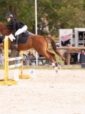 DSC09737 DSC09737
