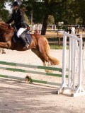 DSC07644 DSC07644