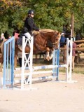DSC07646 DSC07646