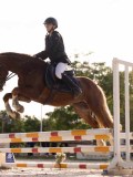 DSC07648 DSC07648