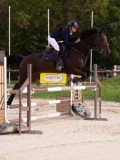 DSC00398 DSC00398