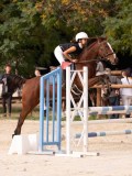 DSC00186 DSC00186