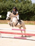 DSC08557 DSC08557