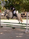 DSC08560 DSC08560