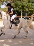 DSC08561 DSC08561