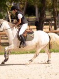DSC08568 DSC08568