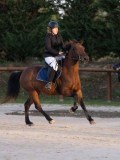DSC05815 DSC05815