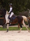DSC00538 DSC00538
