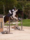 DSC00539 DSC00539