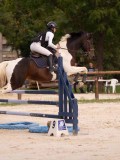 DSC00551 DSC00551