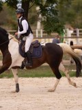 DSC00556 DSC00556