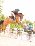 DSC01058 DSC01058