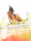 DSC01063 DSC01063
