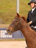 DSC04401 DSC04401