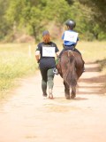 24_09598 24_09598