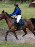 IMG_3704 IMG_3704