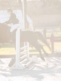 DSC08700