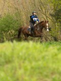 DSC07335 DSC07335