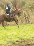 DSC07340 DSC07340