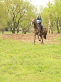 DSC07341 DSC07341
