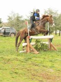 DSC07343 DSC07343