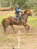 DSC07345 DSC07345