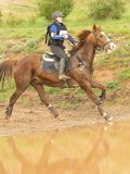 DSC07346 DSC07346