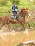 DSC07347 DSC07347