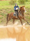 DSC07349 DSC07349