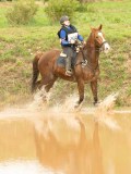 DSC07350 DSC07350