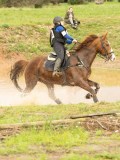 DSC07354 DSC07354