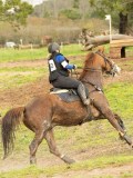 DSC07355 DSC07355