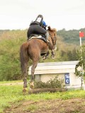 DSC07357 DSC07357